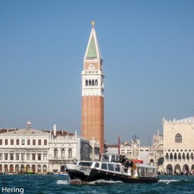 Venedig Italien Campanile Und Vaporetto 2011