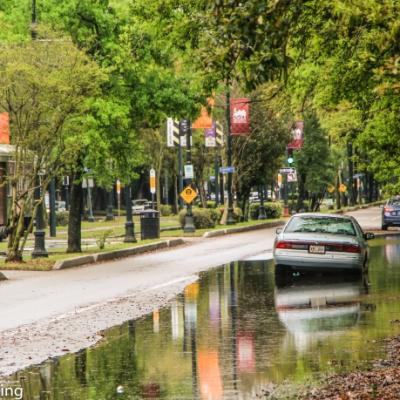 Audubon Park Charles Street